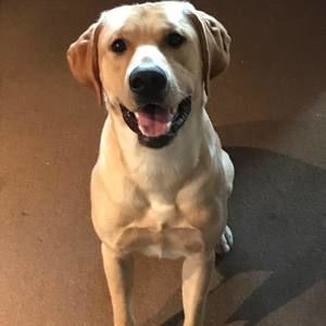 Meet your Posher, Philip